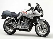 SUZUKI バンディット250/GJ74A GSX250S/GJ76A SUZUKI純正フロントキャリパーシール オイルシール+ダスト ブレーキ カタナ_画像5