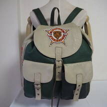 *レア品*AVIREX VARSITY/AVIREX/アヴィレックス*NORTHWEST WILD BEARS*スタジャンデザイン*ワッペン*レザー*リュック*バックパック*A4*_画像1