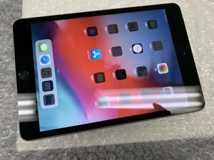 JA360 au iPad mini 第3世代 Wi-Fi+Cellular A1600 スペースグレイ 16GB 判定○