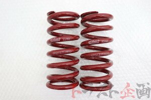 1101043504-2 未使用？ ERS アイバッハ スプリング 2個 ERS-H-0700-225-0550 スカイライン GT-R BCNR33 前期 トラスト企画 送料無料 U