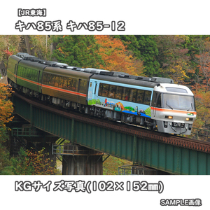 ◎KG写真【JR東海】キハ85系気動車 キハ85-12 ■ワイドビューひだ ■高山本線80周年:装飾 □撮影:高山本線 2014/11/5［KG0641］