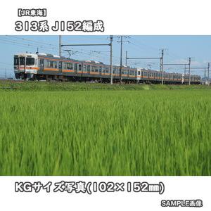 ◎KG写真【JR東海】313系電車 J152編成 □撮影:東海道本線 2023/8/12［KG1081］