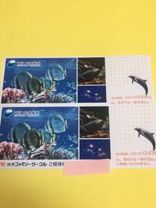 ◆送料無料◆新江ノ島水族館 ご招待券 2枚セット 有効期限：2023年12月31日