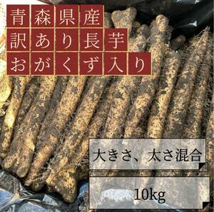 10kg 青森県産 訳あり 長芋 ながいも 山芋