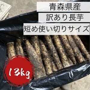 13kg 青森県産 わけあり 長芋 山芋