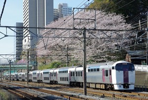 マイクロエース A-0021 215系・2次車 ホリデー快速ビューやまなし 10両セット