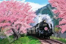 エポック社 1000ピース ジグソーパズル 桜と大井川鐵道-静岡 (50×75cm)_画像1