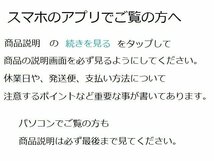 NTB '18～ スーパーカブ50 プロ (AA07) リアホイールダンパー RDH-01 【車両１台分セット　 (AA08) MD　郵政】_画像5