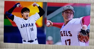 大谷翔平選手フォト　四角