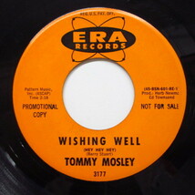 TOMMY MOSLEY-Wishing Well (Hey Hey Hey) (Promo)_画像1