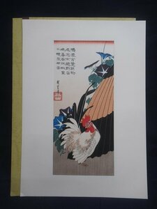 M4038 歌川広重 傘と朝顔に鶏 花鳥風月 手摺 木版画 悠々洞出版