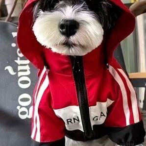 犬服Lサイズ ジャンパー ジャケット 防風コート
