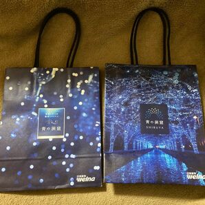 紙袋2枚　青の洞窟　渋谷イルミネーション　非売品　日清製粉ウェルナ