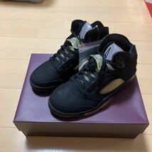 nike air jordan 5 アママニエール　25.0センチ_画像1