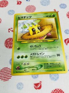 ポケモンカード 旧裏面 ヒマナッツ