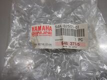 YAMAHA DT50 17W キー BOX 純正品 6V 17W DT ヤマハ (23-1225-7)_画像6