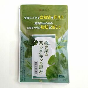 和漢の森 桑の葉&茶カテキンの恵み 120粒入 機能性表示食品【価格の相談・カテゴリ変更不可】