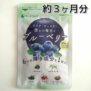 シードコムス ブルーベリー 約3ヶ月分(90粒)【価格の相談・カテゴリ変更不可】