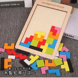 テトリス パズル 知育玩具 木製 おもちゃ 子供 幼児教育 モンテッソーリ ジグソーパズル 積み木