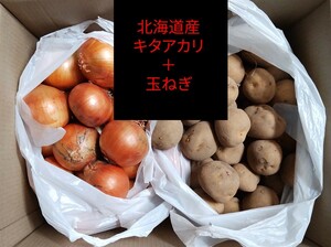 ★北海道産ジャガイモ【キタアカリ】訳あり品＋玉ねぎ 約１０キロ