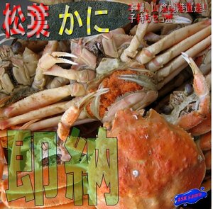 20箱【即納】名人の浜茹で「セコL-1kg/冷凍」足折れ混合　蟹の王様、松葉蟹の子持ち雌