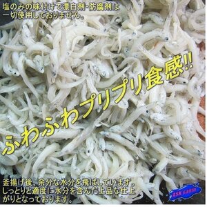 ふわふわプリプリ「釜揚げしらす1kg」『魚王国』山陰境港直送