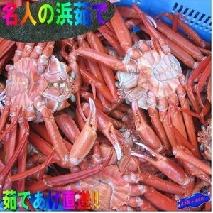 2箱、釜揚げ直送!!【名人の浜茹で蟹5kg】大量、当店自慢の、山陰境港産...「紅蟹5kg」