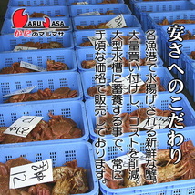 【かにのマルマサ】活蟹専門店 北海道産 活毛ガニ350g 2尾セット_画像4