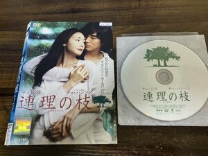 連理の枝　DVD　チェ・ジウ　チョ・ハンソン 　即決　送料200円　1202