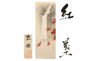 Art hand Auction [Galla Fuji] أصلية مضمونة/Joetsu Roudo Momiji /مع صندوق/C-385 (بحث) تحف/لفافة معلقة/لوحة/رسم ياباني/Ukiyo-e/خط عربي/تعليق شاي/تحف/رسم بالحبر, عمل فني, كتاب, التمرير شنقا