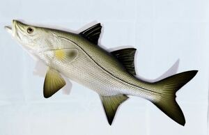 スヌーク　スズキ　魚　フィッシング　壁掛けオブジェ　カリブ海の置物
