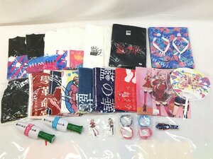 【一部開封品】ヒメヒナ グッズ Tシャツ/タオル/ニンライト/アクリルスタンド/ファイル/うちわ/サンダル/ラバーバンド他 HIMEHINA wa◇66