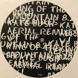 Kate Bush - King Of The Mountain (Radio Slave Remix)