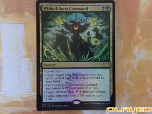 MTG　ウィザーブルームの命令/Witherbloom Command　英　STX　FOIL