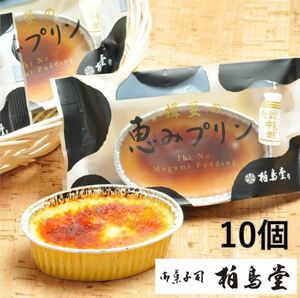 揖斐（いび)の恵プリン 10個入 柏鳥堂 はくちょうどう 冷凍発送 プリン お取り寄せ お菓子 おすすめ スイーツ プレゼント 母の日 父の日