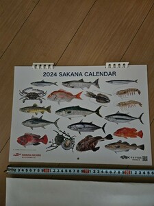 2024年　マルハニチロ　サカナクロス　カレンダー
