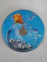 【送料無料】dx14560◆ハットしてキャット スペシャル・エディション/レンタルUP中古品【DVD】_画像3