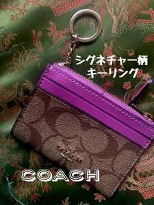 COACH コーチ レザー キーリングコインケース パスケース シグネチャー柄