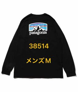 patagonia パタゴニア ロング スリーブ Ｔシャツ メンズMサイズ ブラック 38514