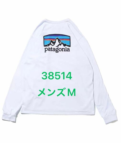 patagonia パタゴニア ロング スリーブ Ｔシャツ メンズMサイズ ホワイト 38514