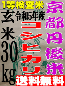 【送料無料 一等検査米】 新米 令和5年度産 京都 丹後 玄米 コシヒカリ 30kg