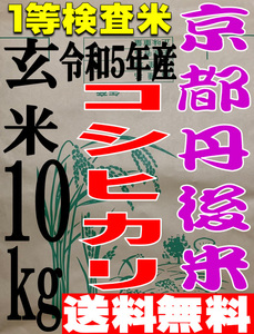 【送料無料 一等検査米】 令和5年度産 京都 丹後 コシヒカリ 玄米 10kg