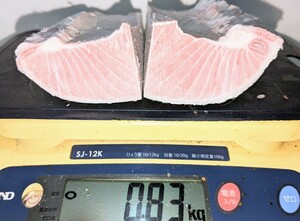 【即決】業務用養殖ミナミ鮪（オーストラリア産）腹上/大トロ 830g★２ブロック入り 