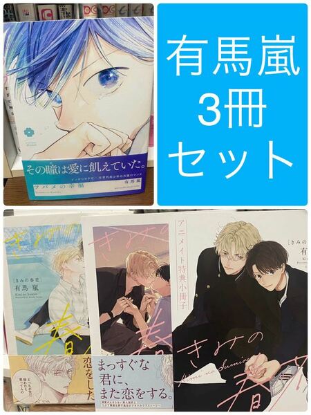 有馬嵐 3冊 セット BL 冊子 アニメイト 限定セット