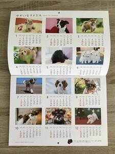 2024年 新品非売品　壁掛けカレンダー 「ゆかいな子犬たち」ソニー生命　担当者名押印なし　書込みＯＫ　プレゼントにも　動物　犬