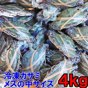 ワタリガニ メス中サイズ 渡り蟹 ガザミ 梭子蟹 ケジャンにも！ 冷凍発送４ｋｇ（約18杯）（2ｋｇ×２箱）★がざみ 活状態から冷凍品