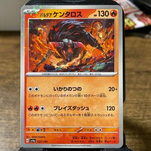 保管のみ　ポケモンカード　ポケカ　キラ　パルデアケンタロス