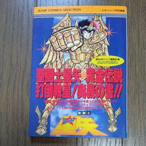 闘士星矢 黄金伝説 打倒教皇! 奥義の書!!