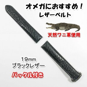 オメガにおすすめ アリゲーター（クロコダイル）レザーベルト ブラック 幅19mm バックル付き 革ベルト