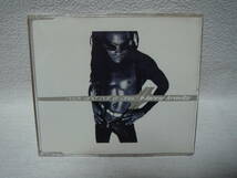 Rock And Roll Is Dead / Lenny Kravitz_画像1